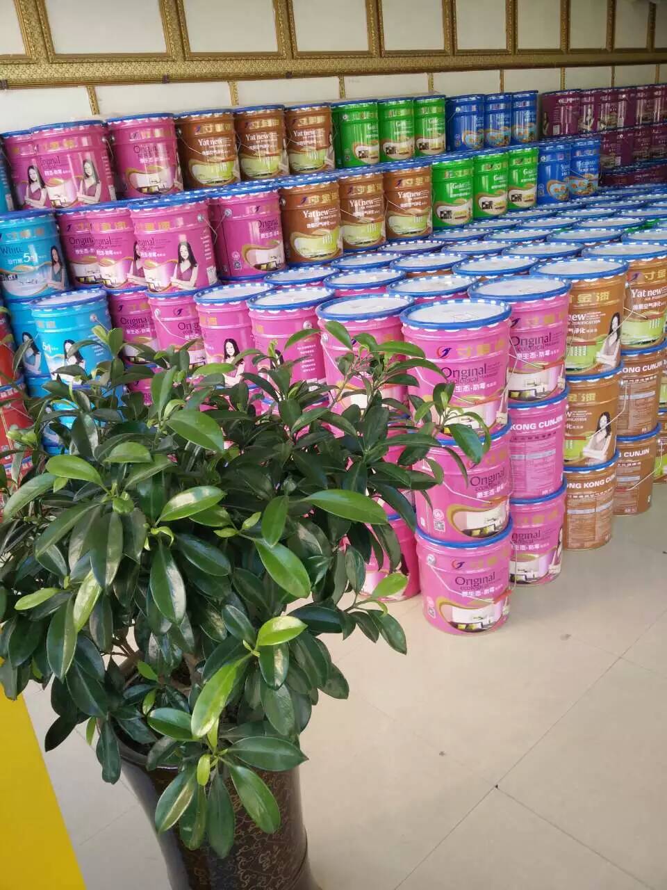 中國涂料 品牌什么產品是沒有異味的