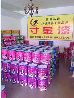 寸金漆,墻面漆 品牌,墻面漆哪個牌子好