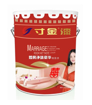 寸金·婚房凈味豪華內墻水漆
