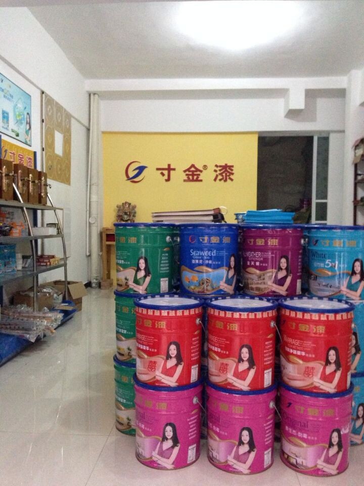 中國涂料 品牌是消費者的首選